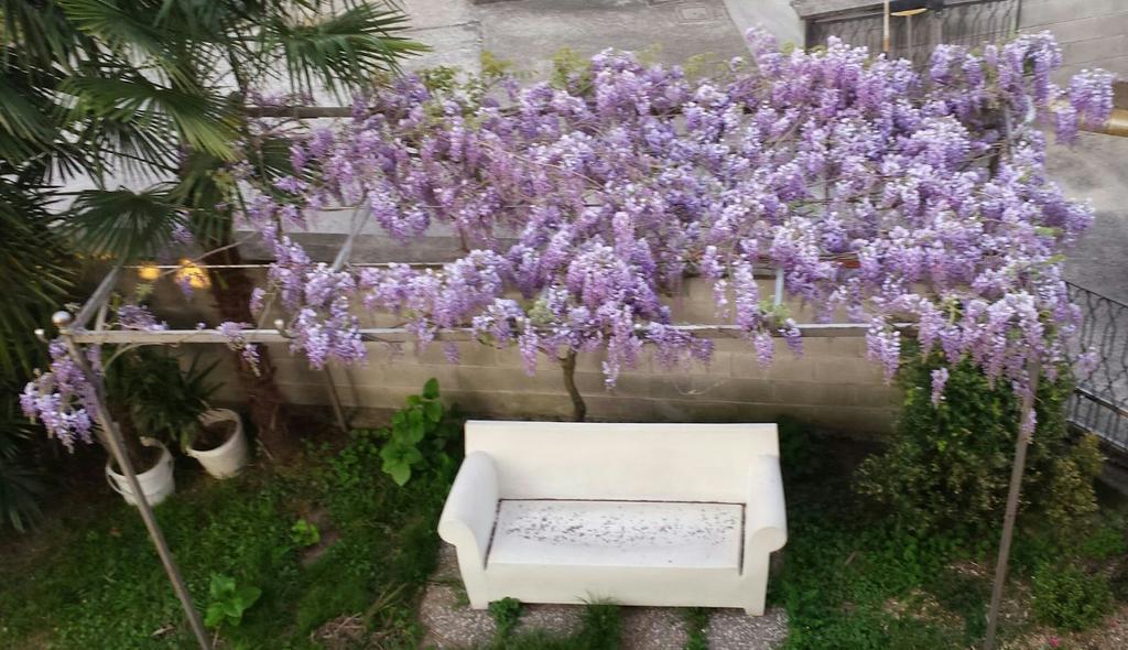 德拉斯皮佳住宿加早餐旅馆 科尔西科 外观 照片